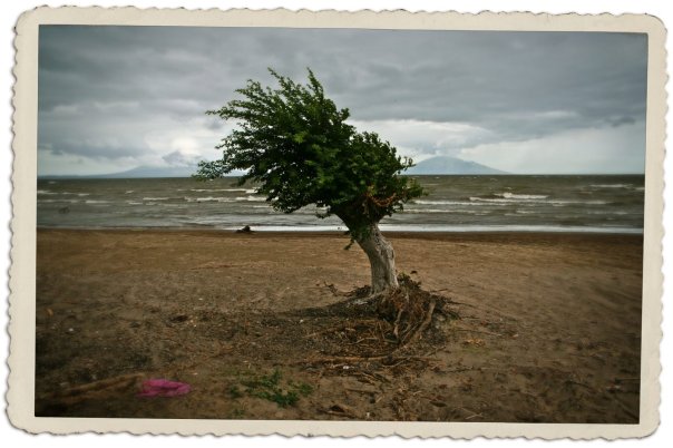 Fotografía de Iara Vega-Linhares.